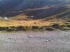 IMG-20110917-00168.jpg